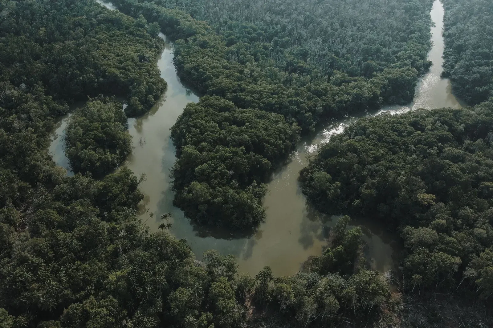 A river winding through dense rainforest, seen from above