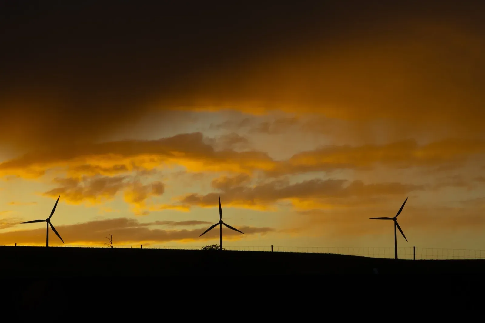 Three wind turbines against a golden dusk